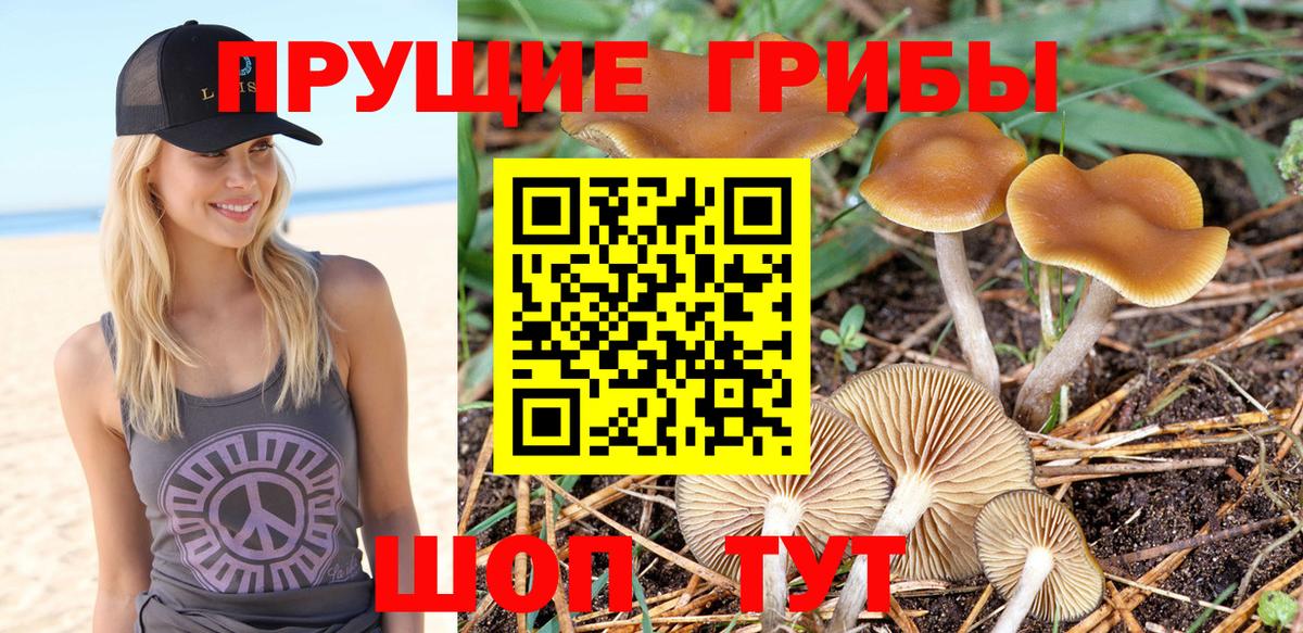 Ковров  Псилоцибиновые грибы Psilocybe  Галлюциногенные грибы ЛСД  Вход с VPN 