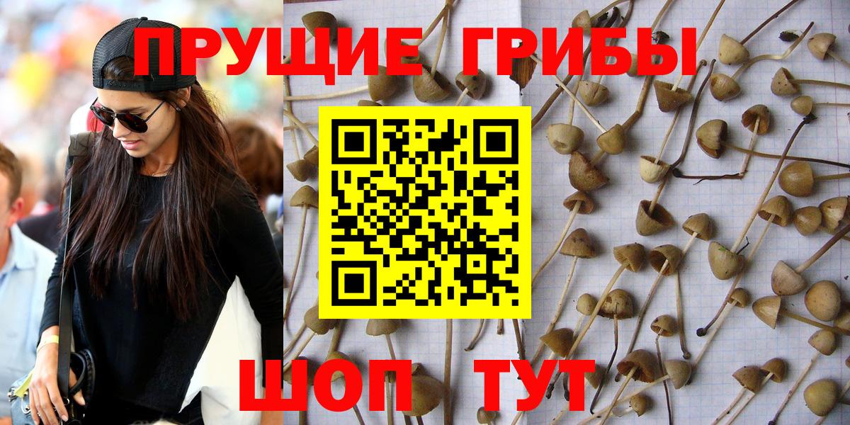 Галлюциногенные грибы MAGIC MUSHROOMS Ковров